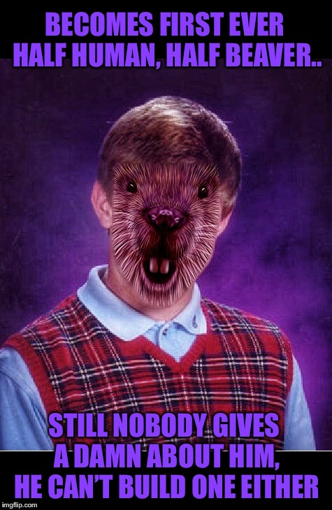 Brian the Bad Luck Beaver | BECOMES FIRST EVER HALF HUMAN, HALF BEAVER.. STILL NOBODY GIVES A DAMN ABOUT HIM, HE CAN’T BUILD ONE EITHER | image tagged in memes,bad luck beaver brian,bad luck brian,funny animals,damn you,bad luck | made w/ Imgflip meme maker