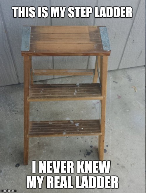 Ladder issues | THIS IS MY STEP LADDER; I NEVER KNEW MY REAL LADDER | image tagged in too funny | made w/ Imgflip meme maker