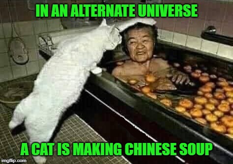 Stranger things have probably happened!!! | IN AN ALTERNATE UNIVERSE; A CAT IS MAKING CHINESE SOUP | image tagged in chinese soup,memes,cats,funny,alternate universe,animals | made w/ Imgflip meme maker