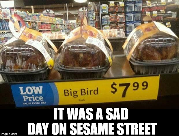Sure gonna miss the big fella | IT WAS A SAD DAY ON SESAME STREET | image tagged in bird,sesame street | made w/ Imgflip meme maker