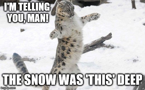 The Snow Was 'This' Deep | I'M TELLING YOU, MAN! THE SNOW WAS 'THIS' DEEP | image tagged in snow,winter,winter storm,animals,funny animals,shawnljohnson | made w/ Imgflip meme maker