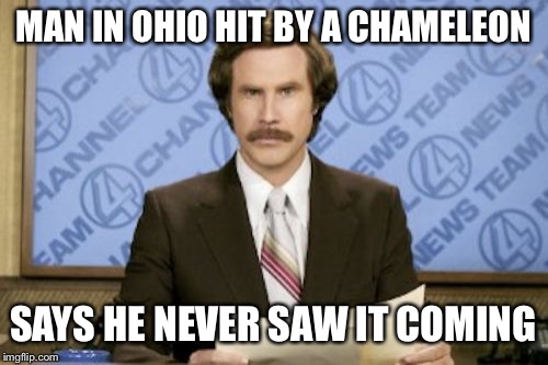 Ron Burgundy | MAN IN OHIO HIT BY A CHAMELEON; SAYS HE NEVER SAW IT COMING | image tagged in memes,ron burgundy | made w/ Imgflip meme maker