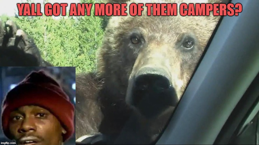 YALL GOT ANY MORE OF THEM CAMPERS? | image tagged in yall got any more of,bear | made w/ Imgflip meme maker
