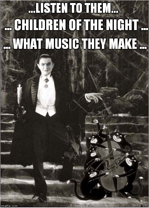 All I hear is music, music, music | ...LISTEN TO THEM... ... CHILDREN OF THE NIGHT ... ... WHAT MUSIC THEY MAKE ... | image tagged in fun,film,cats | made w/ Imgflip meme maker