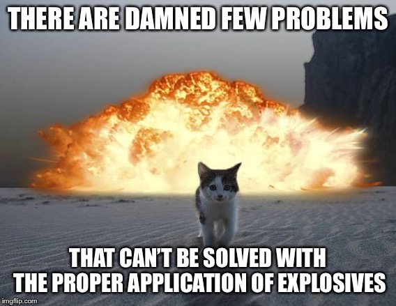 What dog? | THERE ARE DAMNED FEW PROBLEMS; THAT CAN’T BE SOLVED WITH THE PROPER APPLICATION OF EXPLOSIVES | image tagged in cat explosion,explosive,dogs,memes | made w/ Imgflip meme maker
