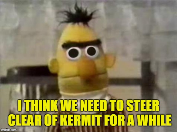 Bert Stare | I THINK WE NEED TO STEER CLEAR OF KERMIT FOR A WHILE | image tagged in bert stare | made w/ Imgflip meme maker