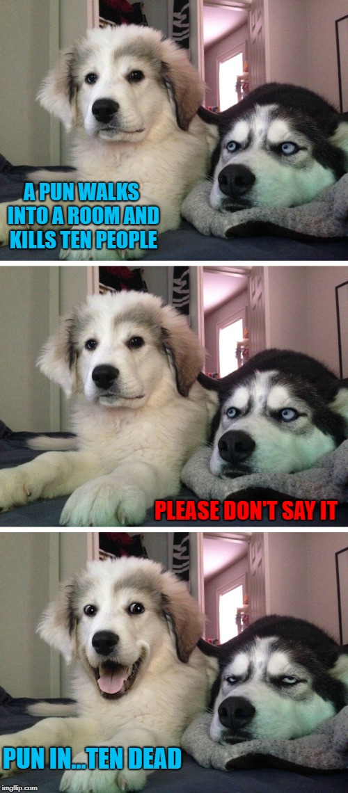 It was a massacre!!! | A PUN WALKS INTO A ROOM AND KILLS TEN PEOPLE; PLEASE DON'T SAY IT; PUN IN...TEN DEAD | image tagged in bad pun dogs,memes,bad puns,funny,puns,dogs | made w/ Imgflip meme maker
