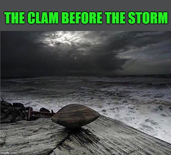 the clam before the storm | THE CLAM BEFORE THE STORM | image tagged in clam,storm | made w/ Imgflip meme maker
