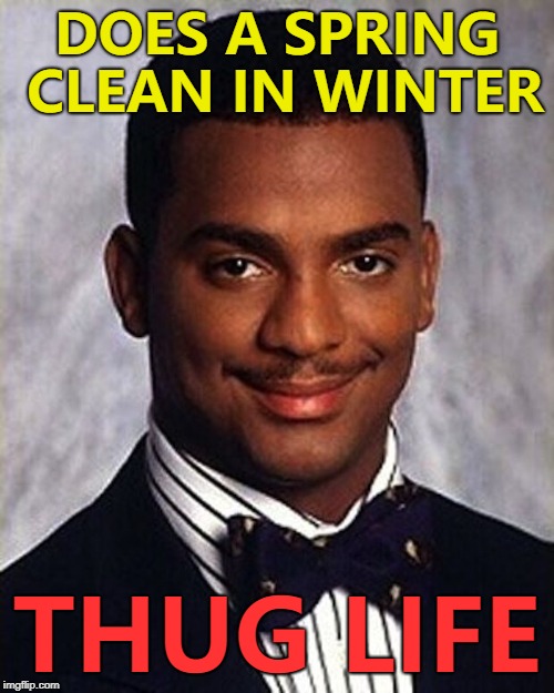 And he drank spring water while doing it... :) | DOES A SPRING CLEAN IN WINTER; THUG LIFE | image tagged in carlton banks thug life,memes,spring cleaning,spring clean,seasons | made w/ Imgflip meme maker