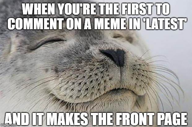 Satisfied Seal | WHEN YOU'RE THE FIRST TO COMMENT ON A MEME IN 'LATEST'; AND IT MAKES THE FRONT PAGE | image tagged in memes,satisfied seal | made w/ Imgflip meme maker