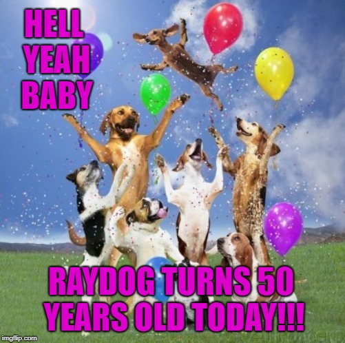 Happy Birthday To Me!!! I'm now officially a Golden Oldie! | HELL YEAH BABY; RAYDOG TURNS 50 YEARS OLD TODAY!!! | image tagged in dog hurrah,memes,raydog,happy birthday,golden oldie,50 | made w/ Imgflip meme maker