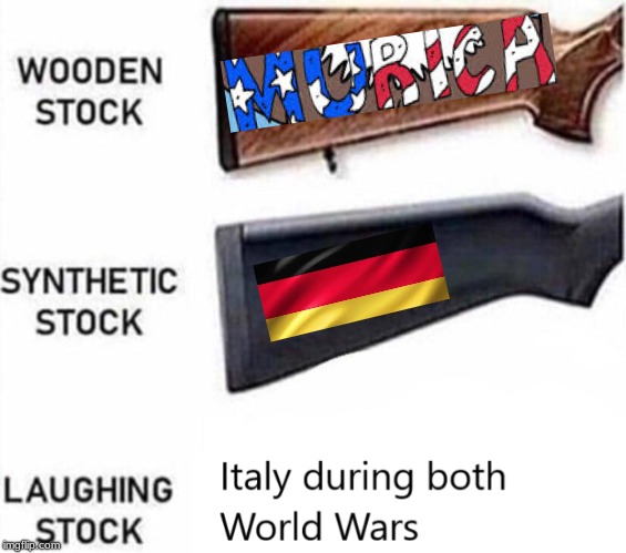 image tagged in memes,'murica,ww2,why not,italy,germany | made w/ Imgflip meme maker