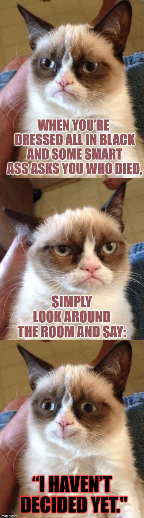Think twice before criticizing it's color choice... | WHEN YOU’RE DRESSED ALL IN BLACK AND SOME SMART ASS ASKS YOU WHO DIED, SIMPLY LOOK AROUND THE ROOM AND SAY:; “I HAVEN’T DECIDED YET." | image tagged in bad pun grumpy cat,funny,cats,grumpy cat,jokes,black | made w/ Imgflip meme maker