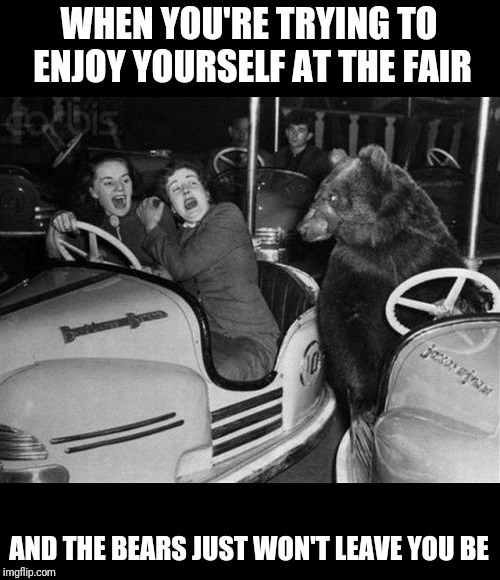 WHEN YOU'RE TRYING TO ENJOY YOURSELF AT THE FAIR; AND THE BEARS JUST WON'T LEAVE YOU BE | image tagged in bears,fun | made w/ Imgflip meme maker