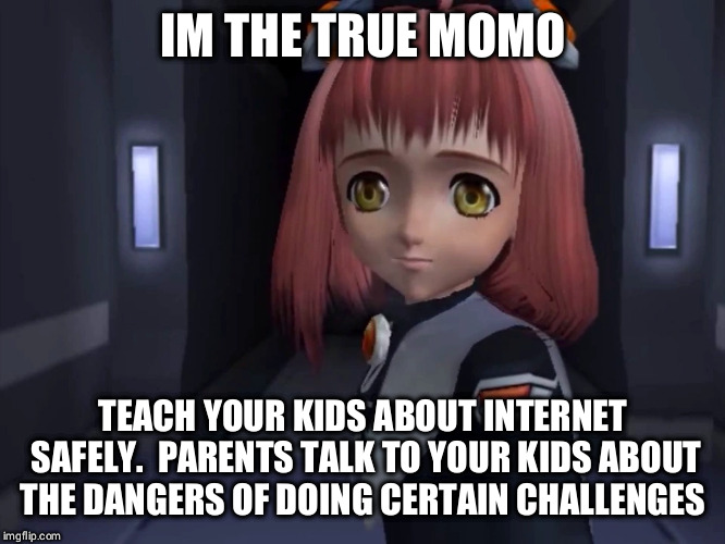 Internet Safety Realian | IM THE TRUE MOMO; TEACH YOUR KIDS ABOUT INTERNET SAFELY.  PARENTS TALK TO YOUR KIDS ABOUT THE DANGERS OF DOING CERTAIN CHALLENGES | image tagged in safety,xenosaga,momo,realian | made w/ Imgflip meme maker