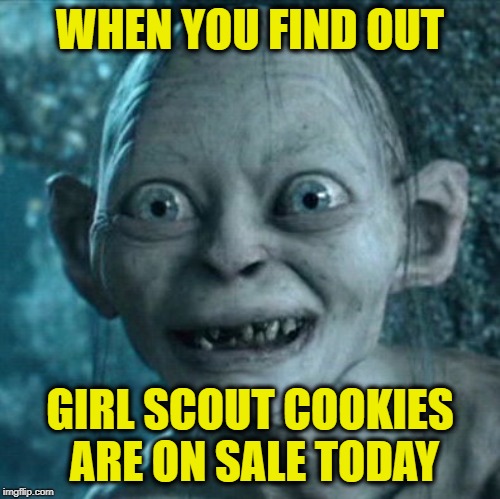I've already bought 7 boxes. | WHEN YOU FIND OUT; GIRL SCOUT COOKIES ARE ON SALE TODAY | image tagged in memes,gollum,girl scout cookies,addicted,funny,they must be laced with crack | made w/ Imgflip meme maker