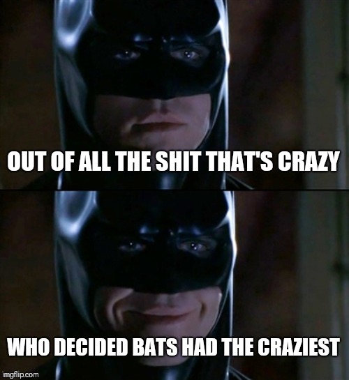 Batman Smiles | OUT OF ALL THE SHIT THAT'S CRAZY; WHO DECIDED BATS HAD THE CRAZIEST | image tagged in memes,batman smiles | made w/ Imgflip meme maker