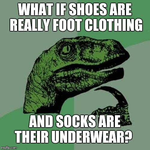 Would going barefoot be feet in the nude?  | WHAT IF SHOES ARE REALLY FOOT CLOTHING; AND SOCKS ARE THEIR UNDERWEAR? | image tagged in memes,philosoraptor,sometimes i wonder,feet,shoes,socks | made w/ Imgflip meme maker