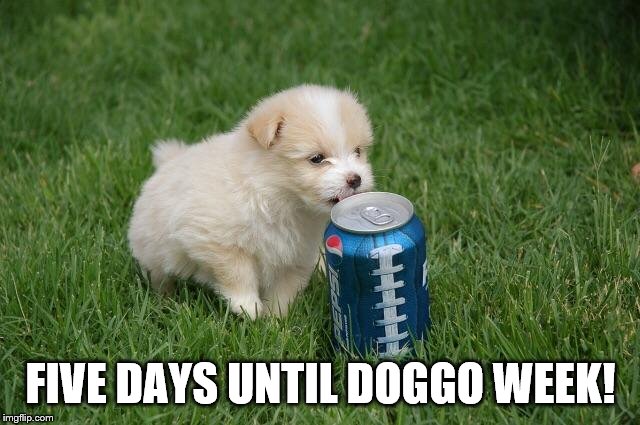 Five days until doggo week! | FIVE DAYS UNTIL DOGGO WEEK! | image tagged in doggos,doggo week,pupper,meme,puppy,cute puppies | made w/ Imgflip meme maker