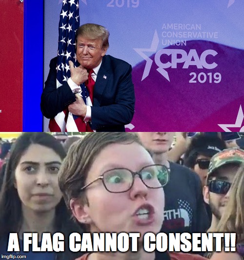 Grab her by the Stars 'n Stripes | A FLAG CANNOT CONSENT!! | image tagged in trigger,sjw,trump,flag,consent | made w/ Imgflip meme maker