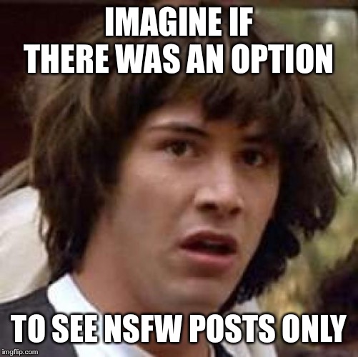 An option for those who want to be safe, but not one for those who like to take risks?  | IMAGINE IF THERE WAS AN OPTION; TO SEE NSFW POSTS ONLY | image tagged in conspiracy keanu,nsfw,box,there can be only one | made w/ Imgflip meme maker