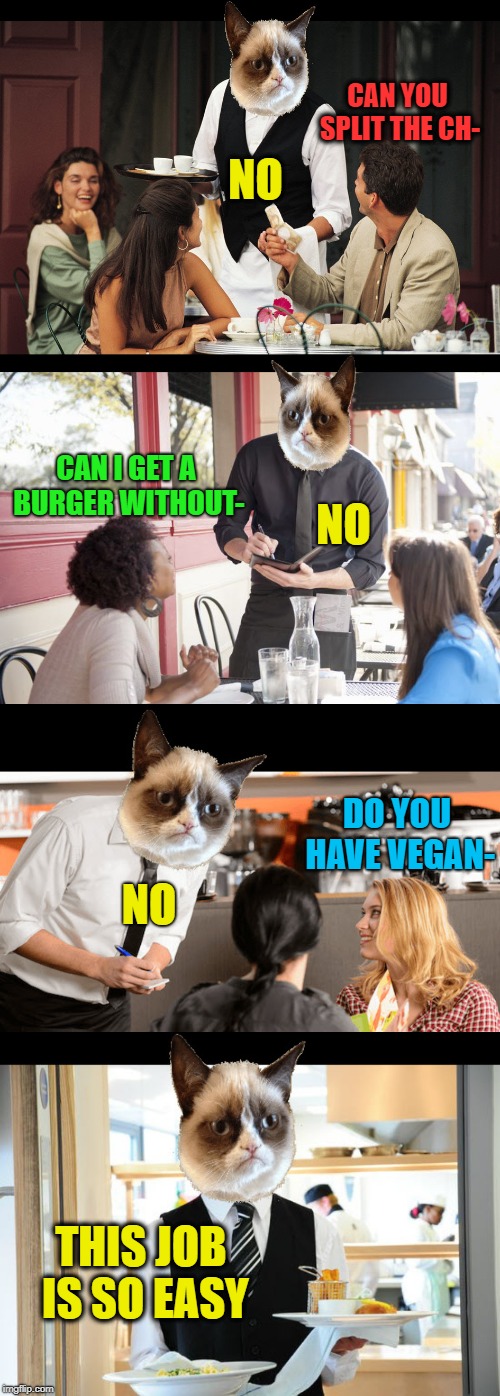 Why do humans think this job is stressful? | CAN YOU SPLIT THE CH-; NO; CAN I GET A BURGER WITHOUT-; NO; DO YOU HAVE VEGAN-; NO; THIS JOB IS SO EASY | image tagged in memes,grumpy cat,waiter,no special orders,funny | made w/ Imgflip meme maker