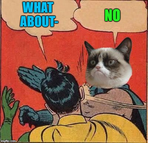 Grumpy Cat Slapping Robin | WHAT ABOUT- NO | image tagged in grumpy cat slapping robin | made w/ Imgflip meme maker