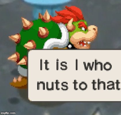 From "Mario & Luigi: Bowser's Inside Story + Bowser Jr.'s Journey" | image tagged in bowser,nut,nintendo,mario and luigi series,funny,but why tho | made w/ Imgflip meme maker