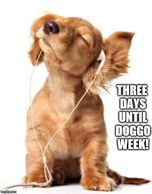 Three days until doggo week! | THREE DAYS UNTIL DOGGO WEEK! | image tagged in puppy,cute,doggo,doggo week,dachshund,pupper | made w/ Imgflip meme maker