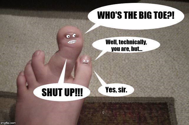 WHO'S THE BIG TOE?! Well, technically, you are, but... Yes, sir. SHUT UP!!! | image tagged in funny,memes,feet,toes | made w/ Imgflip meme maker