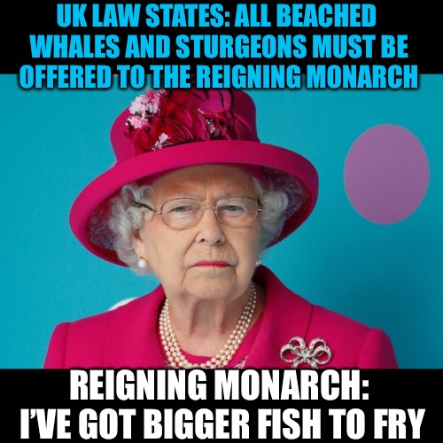 Event for “Most stupid Laws” suggested by Katechuks for April - Well I’m up for it! | UK LAW STATES: ALL BEACHED WHALES AND STURGEONS MUST BE OFFERED TO THE REIGNING MONARCH; REIGNING MONARCH: I’VE GOT BIGGER FISH TO FRY | image tagged in katechuks,lordcheesus,event,special kind of stupid,laws,funny | made w/ Imgflip meme maker