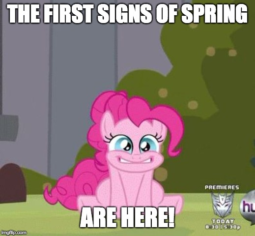 I'm excited! | THE FIRST SIGNS OF SPRING; ARE HERE! | image tagged in excited pinkie pie,memes,spring | made w/ Imgflip meme maker