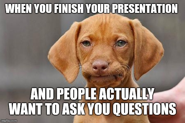 Dissapointed puppy | WHEN YOU FINISH YOUR PRESENTATION; AND PEOPLE ACTUALLY WANT TO ASK YOU QUESTIONS | image tagged in dissapointed puppy | made w/ Imgflip meme maker