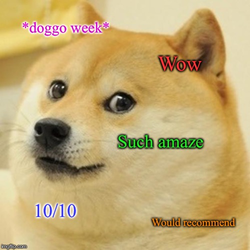 Guess it really /is/ amaze! Doggo Week! March 10-16 a Blaze_the_Blaziken and 1forpeace Event! | *doggo week*; Wow; Such amaze; 10/10; Would recommend | image tagged in memes,doge,doggo,doggo week,masqurade_ | made w/ Imgflip meme maker