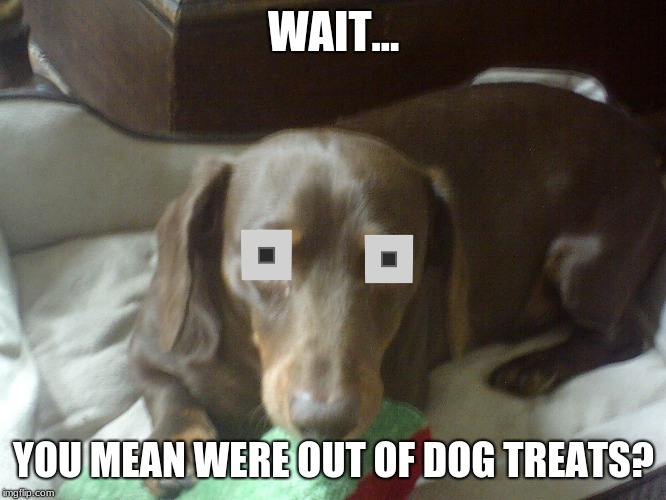 WHAT!? | WAIT... YOU MEAN WERE OUT OF DOG TREATS? | image tagged in dog,treats | made w/ Imgflip meme maker
