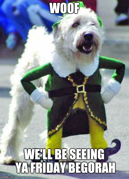 irish dog | WOOF; WE'LL BE SEEING YA FRIDAY BEGORAH | image tagged in irish dog | made w/ Imgflip meme maker