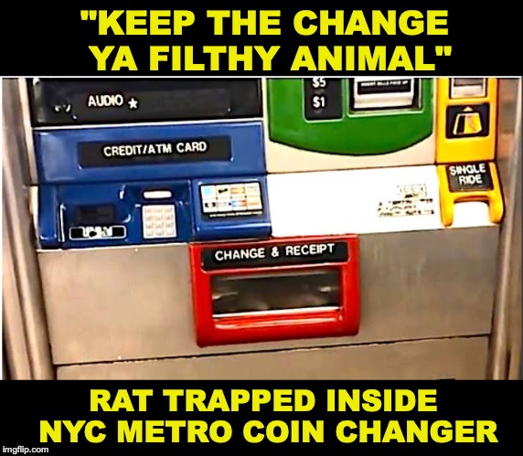 Most Elaborate Fare-Beating Scheme Yet In NYC | "KEEP THE CHANGE YA FILTHY ANIMAL"; RAT TRAPPED INSIDE NYC METRO COIN CHANGER | image tagged in rats,nyc,subway,home alone | made w/ Imgflip meme maker