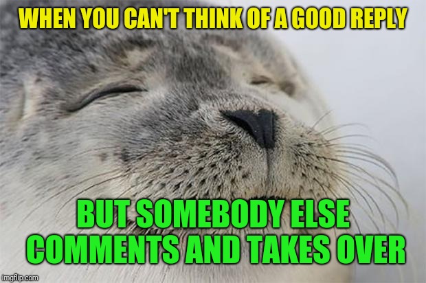 Admit it...this has happened to you too | WHEN YOU CAN'T THINK OF A GOOD REPLY; BUT SOMEBODY ELSE COMMENTS AND TAKES OVER | image tagged in memes,satisfied seal,comments,replies,other users | made w/ Imgflip meme maker