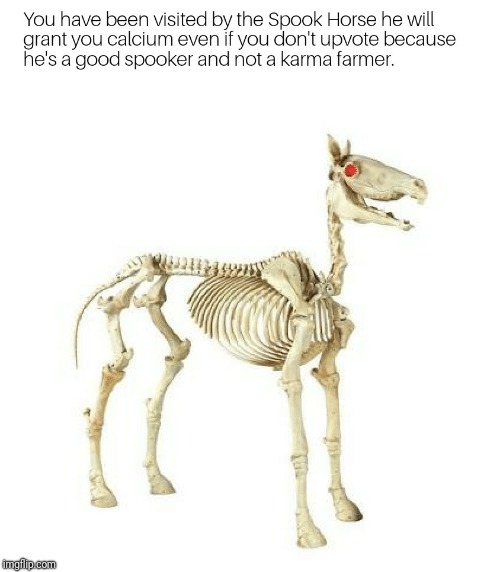 Spook Horse | image tagged in spooky | made w/ Imgflip meme maker