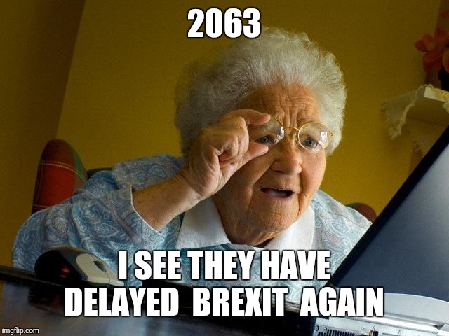 Grandma Finds The Internet | 2063; I SEE THEY HAVE DELAYED  BREXIT  AGAIN | image tagged in memes,grandma finds the internet | made w/ Imgflip meme maker