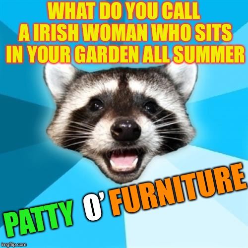 To be sure. | WHAT DO YOU CALL A IRISH WOMAN WHO SITS IN YOUR GARDEN ALL SUMMER; FURNITURE; PATTY; O’ | image tagged in memes,lame pun coon,o puns,st patrick's day,irish | made w/ Imgflip meme maker
