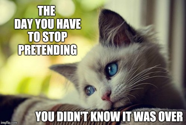 Denial Is A Shield That Doesn't Really Protect Us.  It Just Prolongs The Inevitable. The Point Is There Is No Point | THE DAY YOU HAVE TO STOP PRETENDING; YOU DIDN'T KNOW IT WAS OVER | image tagged in memes,first world problems cat,sad,so it begins,it's over,neverending story | made w/ Imgflip meme maker