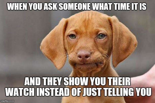 Dissapointed puppy | WHEN YOU ASK SOMEONE WHAT TIME IT IS; AND THEY SHOW YOU THEIR WATCH INSTEAD OF JUST TELLING YOU | image tagged in dissapointed puppy | made w/ Imgflip meme maker