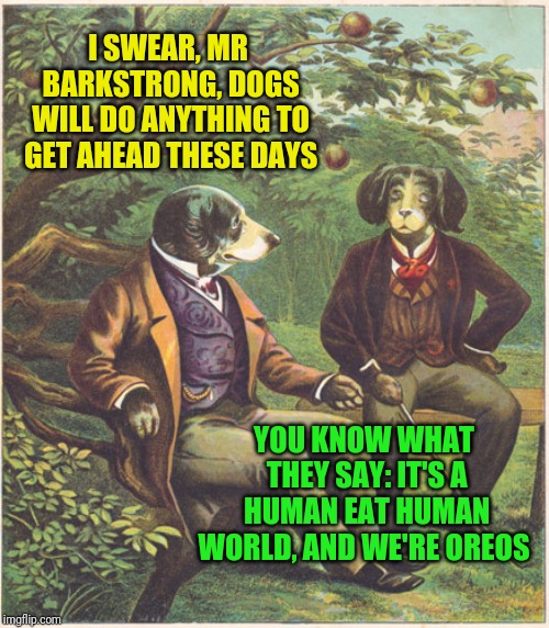 In Another Time, In Another Place  | I SWEAR, MR BARKSTRONG, DOGS WILL DO ANYTHING TO GET AHEAD THESE DAYS; YOU KNOW WHAT THEY SAY: IT'S A HUMAN EAT HUMAN WORLD, AND WE'RE OREOS | image tagged in dogs talking,memes,dog memes,confused dafuq jack sparrow what,why not both,beautiful vintage flowers | made w/ Imgflip meme maker
