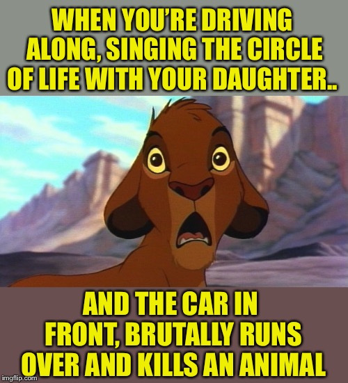 The circle of life takes many forms  | WHEN YOU’RE DRIVING ALONG, SINGING THE CIRCLE OF LIFE WITH YOUR DAUGHTER.. AND THE CAR IN FRONT, BRUTALLY RUNS OVER AND KILLS AN ANIMAL | image tagged in memes,lion king,circle of life,shocked,simba,roadkill | made w/ Imgflip meme maker