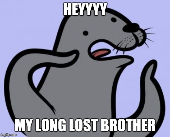Homophobic Seal Meme | HEYYYY; MY LONG LOST BROTHER | image tagged in memes,homophobic seal | made w/ Imgflip meme maker