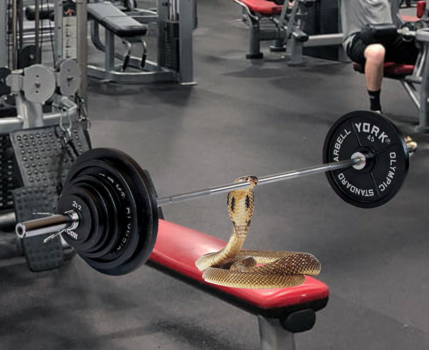 Fuck Leg Day Memes Imgflip