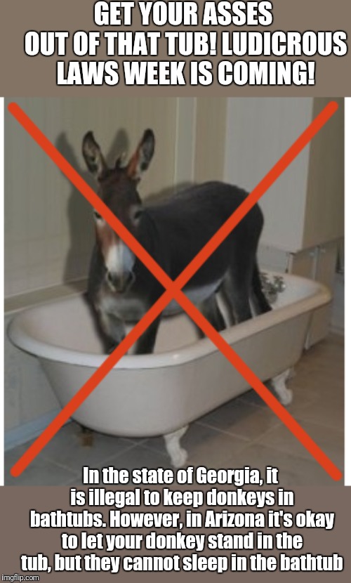Ludicrous Laws Week. Hosted by Lord Cheesus,  SydneyB and Katechuks.  April 1-7 | GET YOUR ASSES OUT OF THAT TUB! LUDICROUS LAWS WEEK IS COMING! In the state of Georgia, it is illegal to keep donkeys in bathtubs. However, in Arizona it's okay to let your donkey stand in the tub, but they cannot sleep in the bathtub | image tagged in ludicrouslawsweek | made w/ Imgflip meme maker