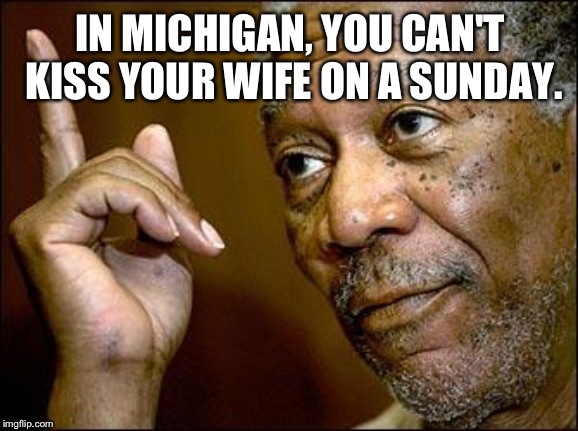 This Morgan Freeman | IN MICHIGAN, YOU CAN'T KISS YOUR WIFE ON A SUNDAY. | image tagged in this morgan freeman | made w/ Imgflip meme maker