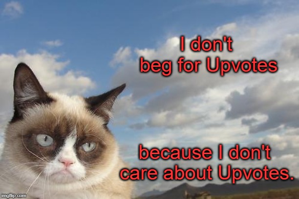 So there!  | I don't beg for Upvotes; because I don't care about Upvotes. | image tagged in memes,grumpy cat sky,grumpy cat | made w/ Imgflip meme maker